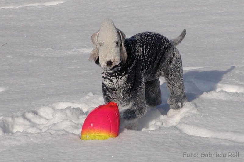 Quincy 2009-01-05 (11).JPG